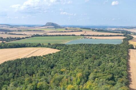 Lot 3 - Ninewar Wood