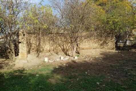 A ruined stone wall partially covered by leafless trees and surrounded by green grass