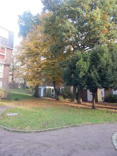 Grounds