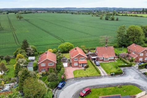 DJI_0347.jpg