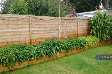 Garden Allotment Area