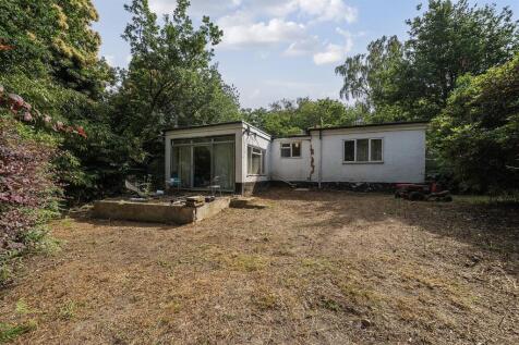 1317437-10-6867a104ea189 (2).JPG