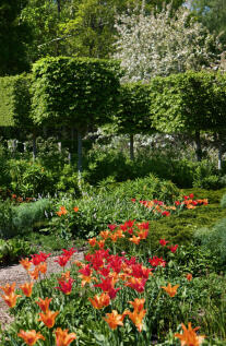 281919 - DGLA6895.jpg