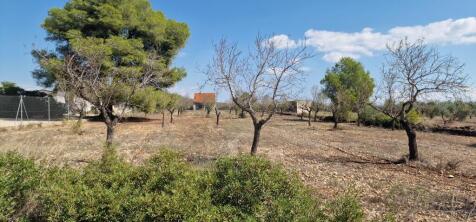 Property Image 30