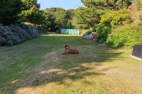 Martyn Lewis 166OH.jpg