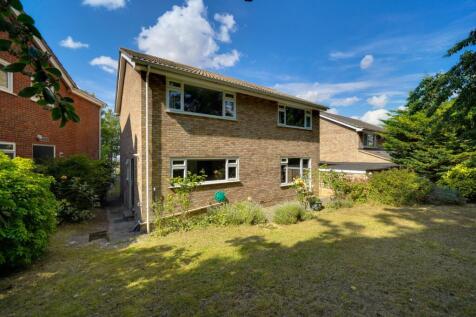 Property Image 19
