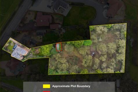 Aerial Plot View