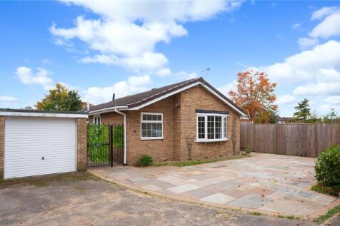 Photos