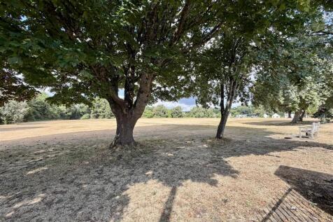 Local Park/Green Space