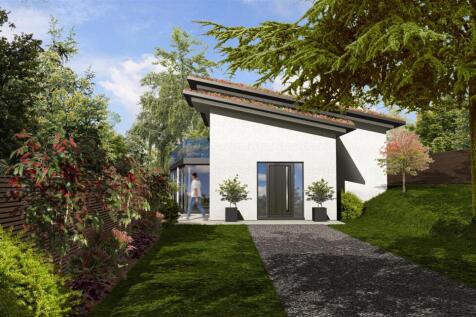 21Maple_B_final 2.jpeg