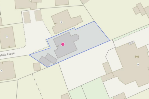 Dahlia plot size.png