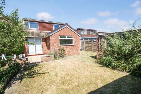 2-IMG_4785.jpg