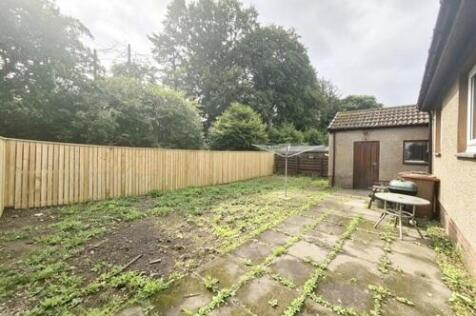 Back Garden.jpg