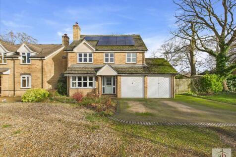 Main Picture