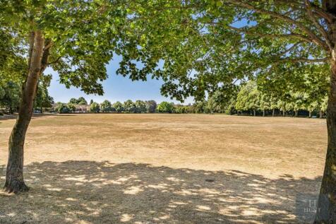 View Of Park