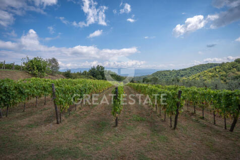 Panorama e Particolari