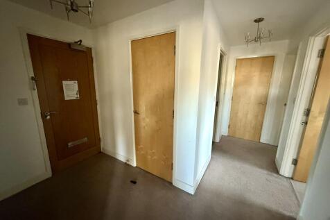 IMG 3006 T202511131539.jpeg