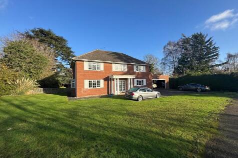 WhatsApp Image 20...