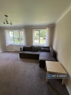 Newly Decorated &amp; New Carpets