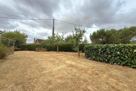 Garden 2.jpg