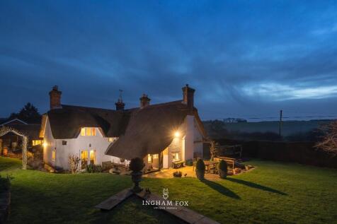 Garden Twilight View