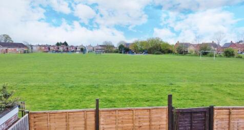 Playing Field.jpg