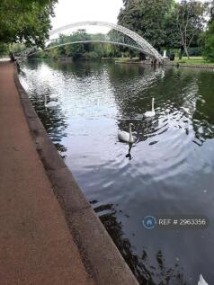 Riverside Walks/Picnics