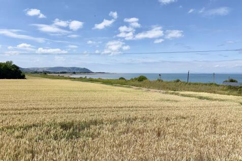Rear view over steam railway