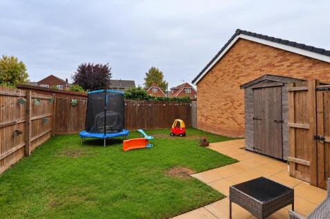 Suburban Backyard with Trampoline and Toys.jpg