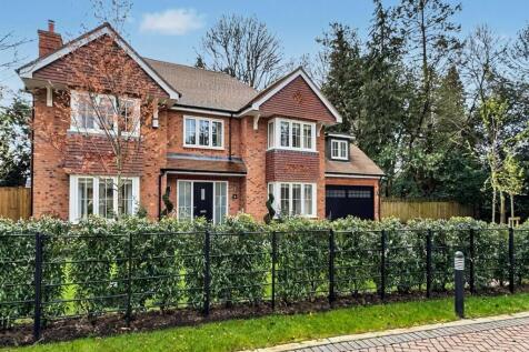 Plot 6 Hudson. March..jpg