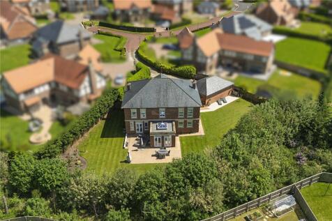 Aerial Shot