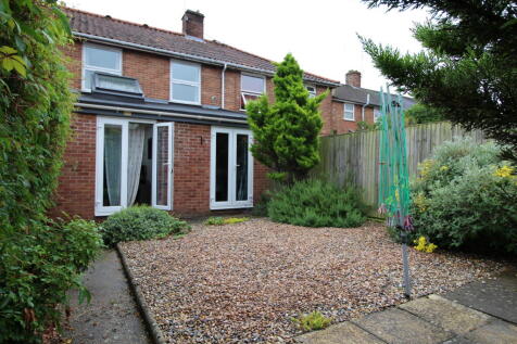 back garden