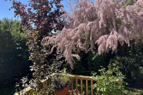 Garden shot 3.jpeg
