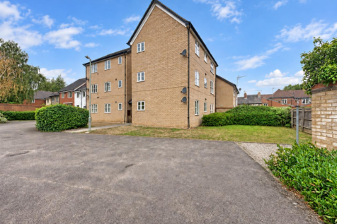 Rear of Property