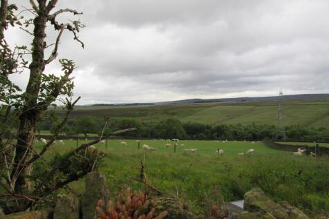 View from grounds