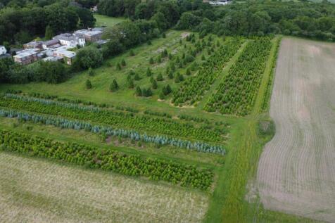 DJI_0494 - Copy.JPG