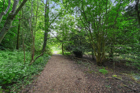 PT-DB(WP)-WillowH...