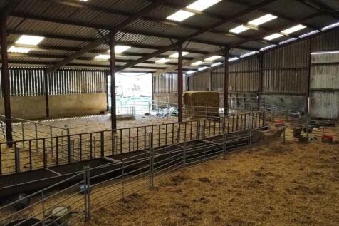 dji_fly_20230614_112956_762_1686741989905_photo_op