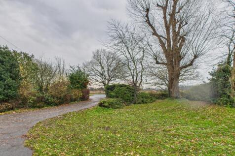 CAM02519G0-PR0374-STILL006