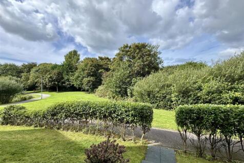 View from Front Door