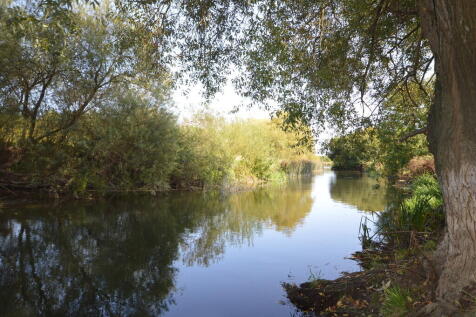 Stour Nature Rese...