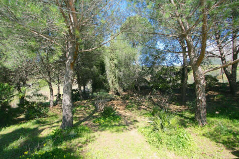 Property Image 43
