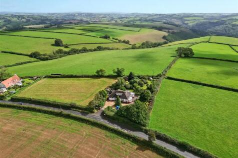 Drone View