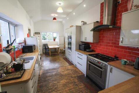 IMG_1486.jpg