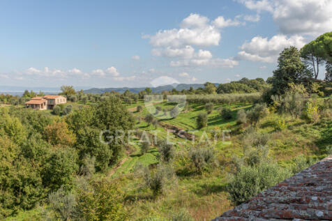 Panorama e Particolari