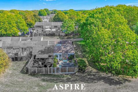 5_dji_0667.jpg