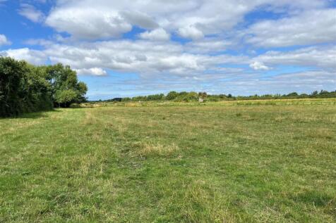 Extra Paddock Land.jpg