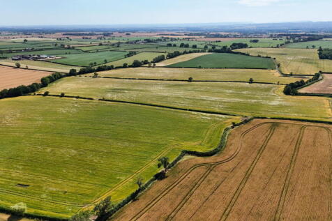 Land for sale Image 11