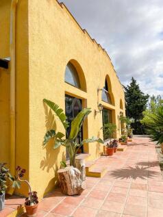 Property Image 39