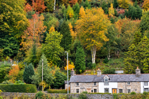 The Cottage in Autumn 